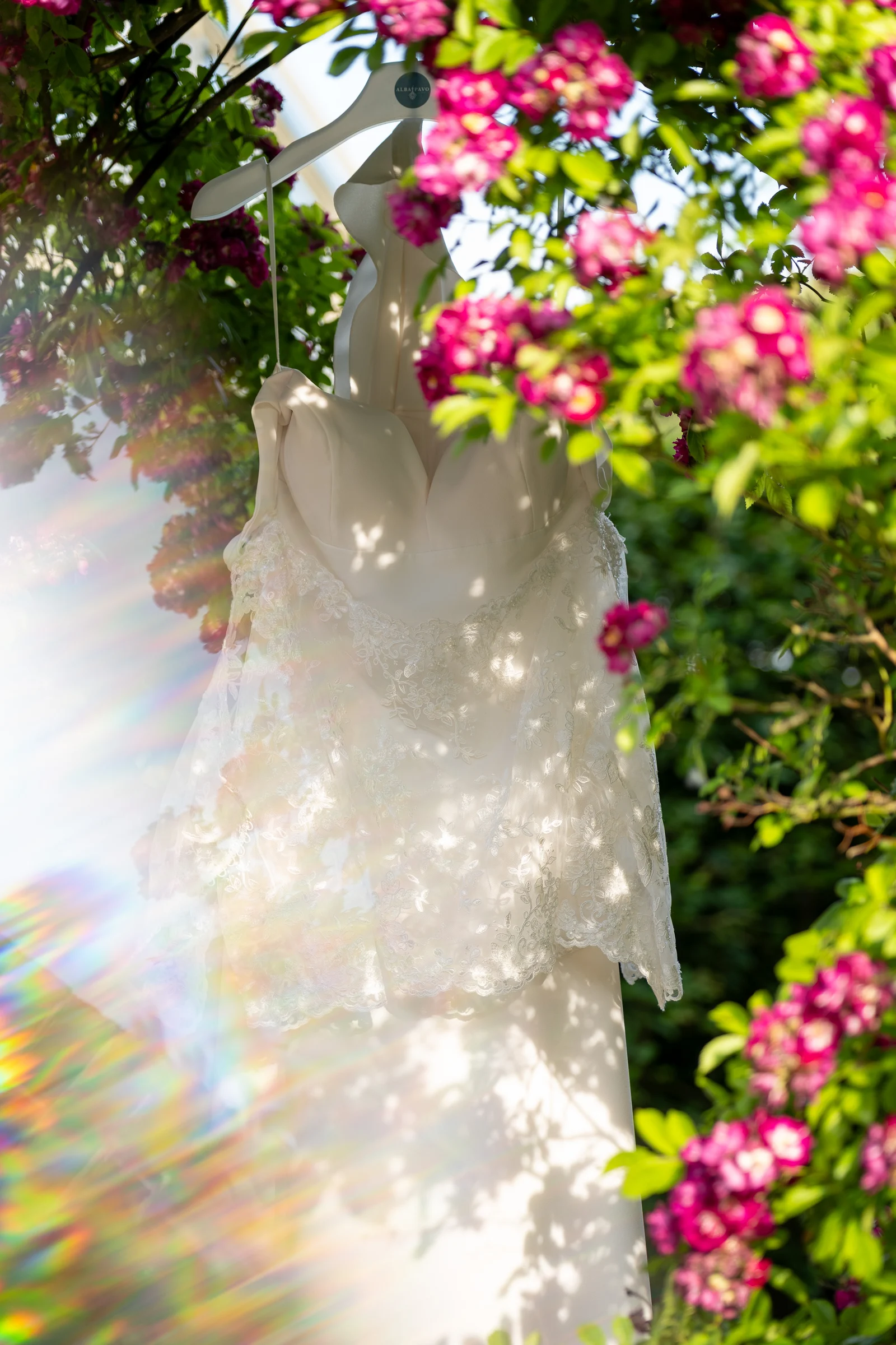 Brautkleid hängt im Garten zwischen Rosen